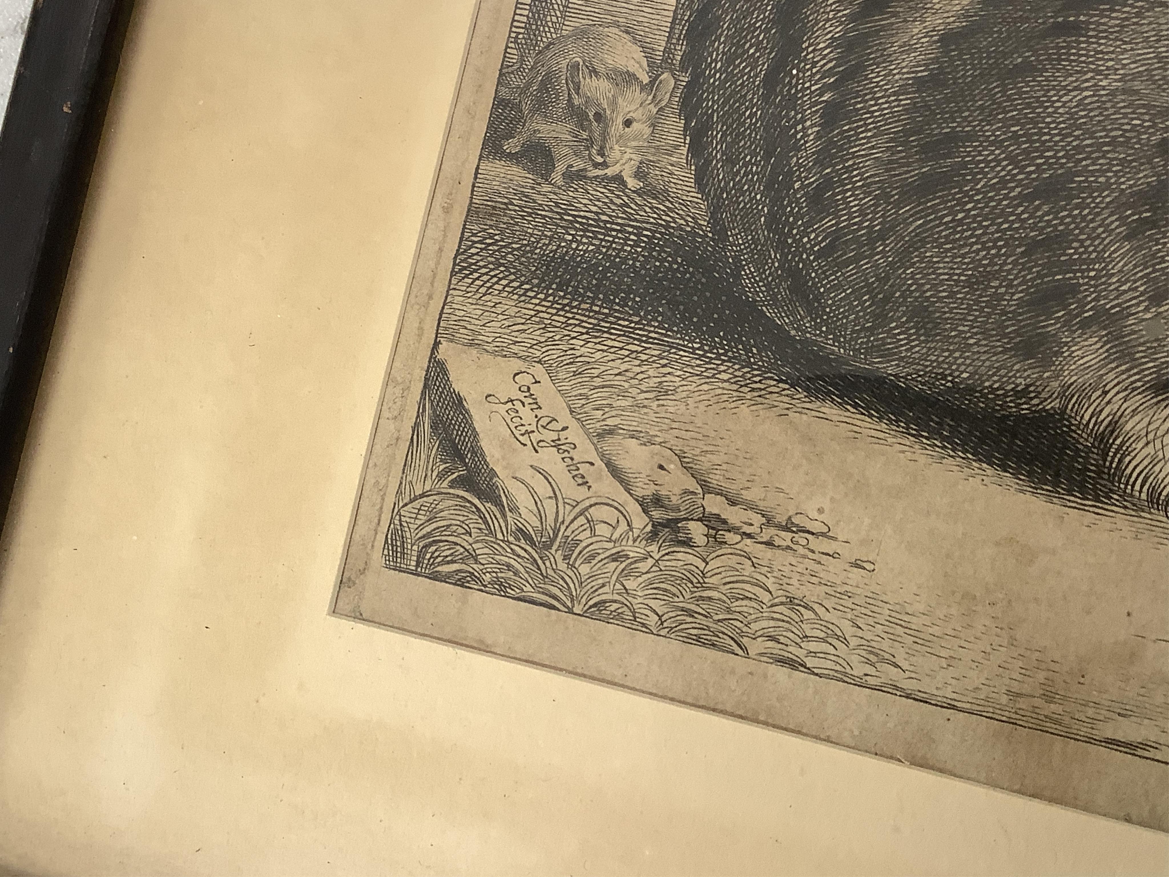 After Cornelis Visscher (Dutch, 1629-1658), 'The Large Cat', signed in the plate, engraving, 14.5 x 18.5cm